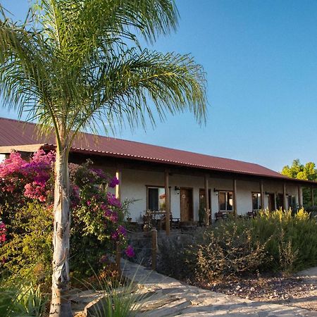 Terra del Valle Bed&Breakfast Valle de Guadalupe Esterno foto