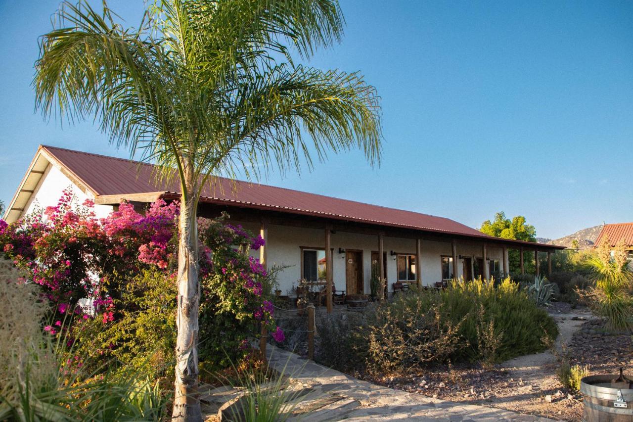 Terra del Valle Bed&Breakfast Valle de Guadalupe Esterno foto