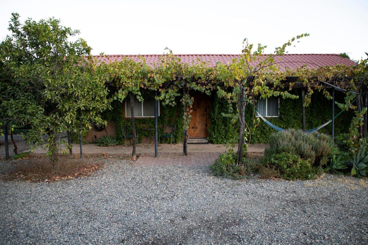 Terra del Valle Bed&Breakfast Valle de Guadalupe Esterno foto