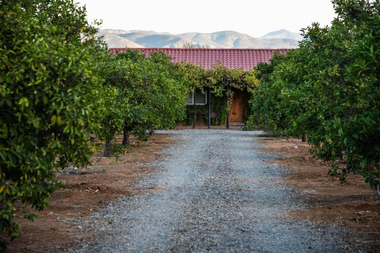 Terra del Valle Bed&Breakfast Valle de Guadalupe Esterno foto