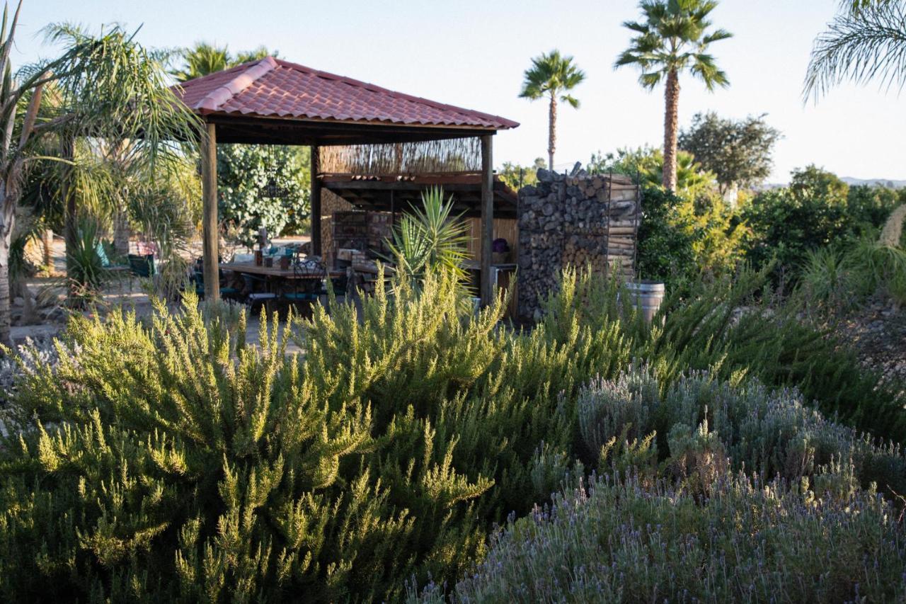 Terra del Valle Bed&Breakfast Valle de Guadalupe Esterno foto